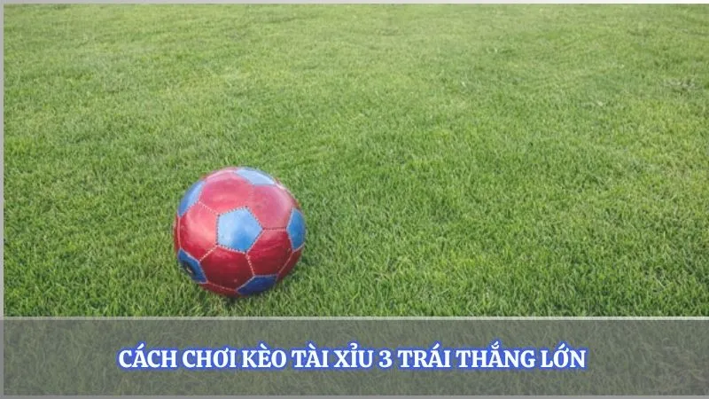 Cách chơi kèo tài xỉu 3 trái thắng lớn 